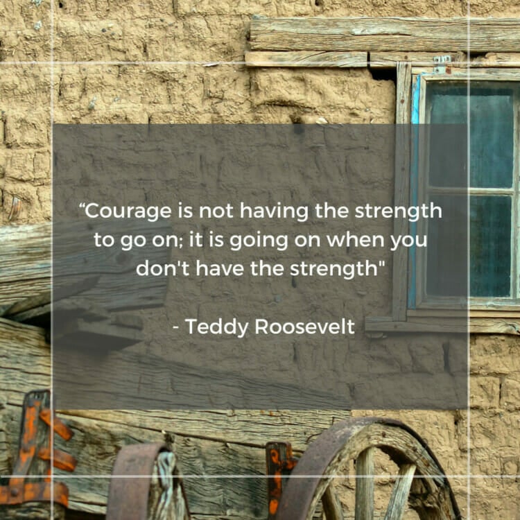 teddy roosevelt quotes on perseverance 