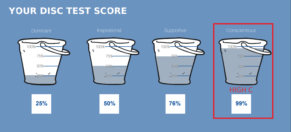 High C DISC Personality Result