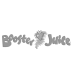 Free DISC Personality Test 6 Booster Juice logo, organization whose professionals have used the PLI DISC assessment